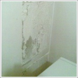Мокрые стены в квартире и плесень | Строительный форум натяжныепотолкибрянск.рф