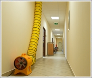 Фото - вентиляторы master на съемочных площадках: почему это must-have Вентиляторы Master на съемочных площадках: почему это must-have