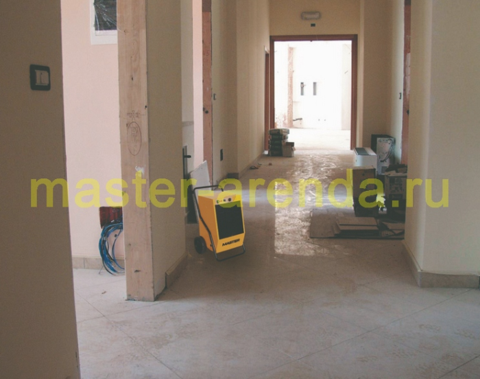 Фото - стены мокрые после протечки — как избежать плесени Стены мокрые после протечки — как избежать плесени